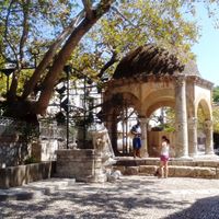 boronkay-bianka-photo13